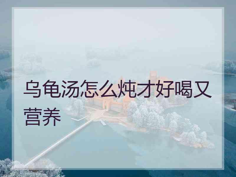 乌龟汤怎么炖才好喝又营养