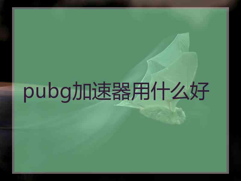 pubg加速器用什么好