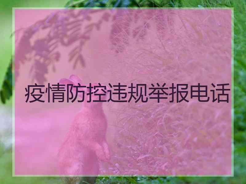 疫情防控违规举报电话