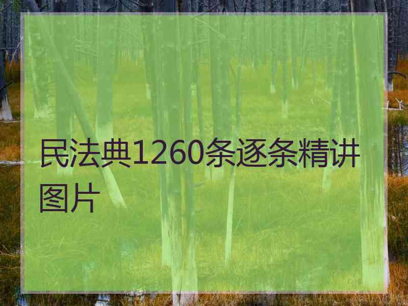 民法典1260条逐条精讲图片