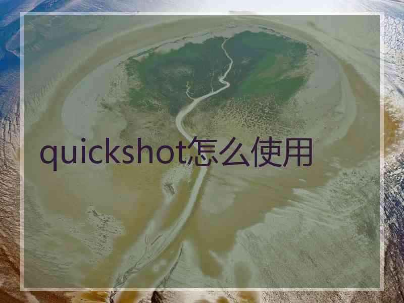 quickshot怎么使用