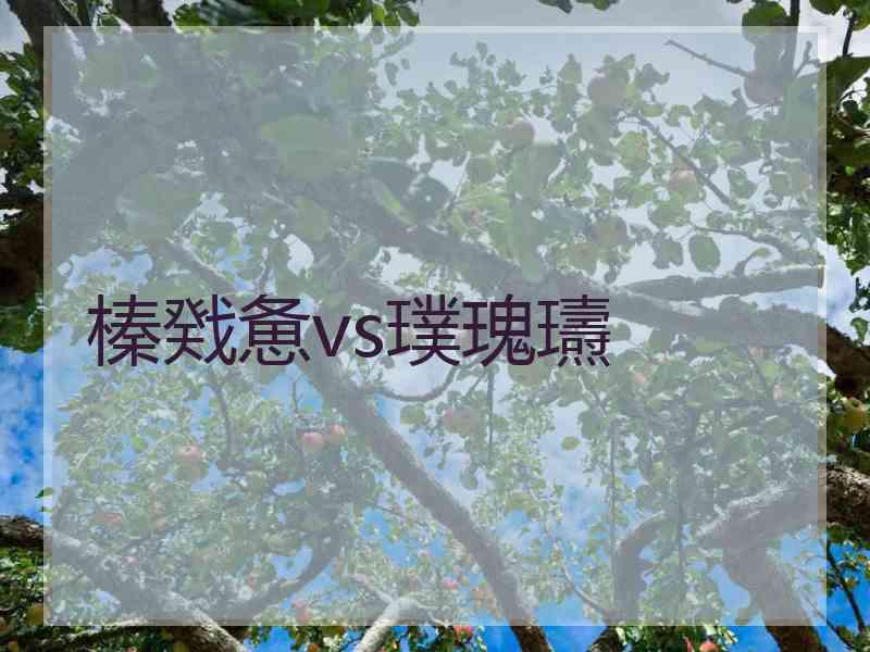 榛戣惫vs璞瑰瓙