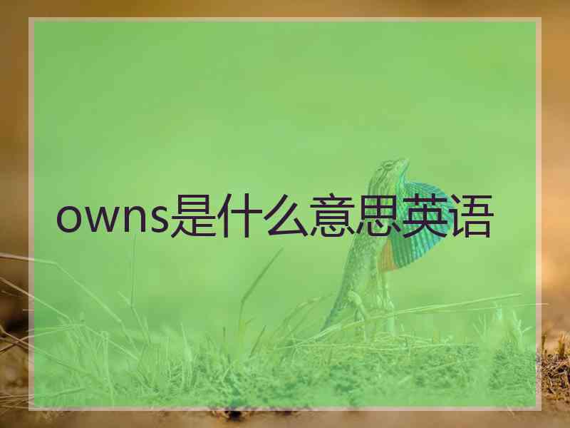 owns是什么意思英语