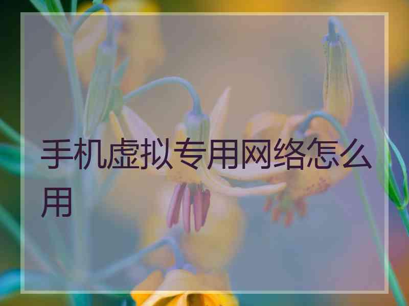 手机虚拟专用网络怎么用