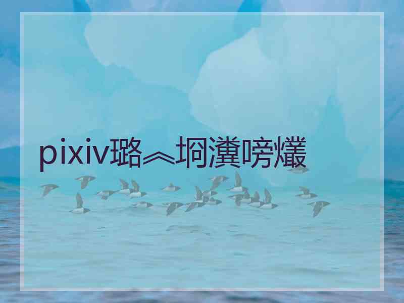 pixiv璐︽埛瀵嗙爜