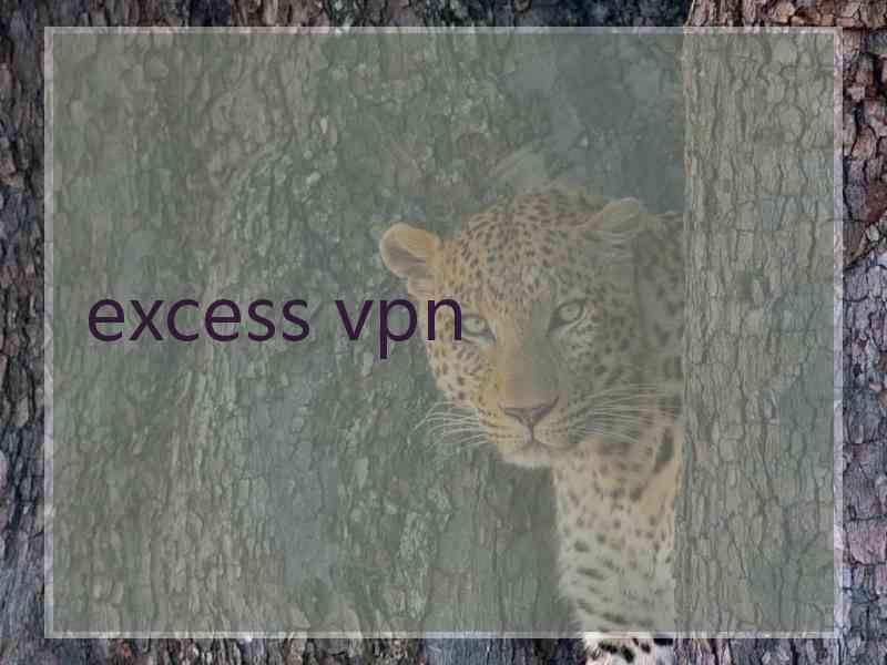 excess vpn