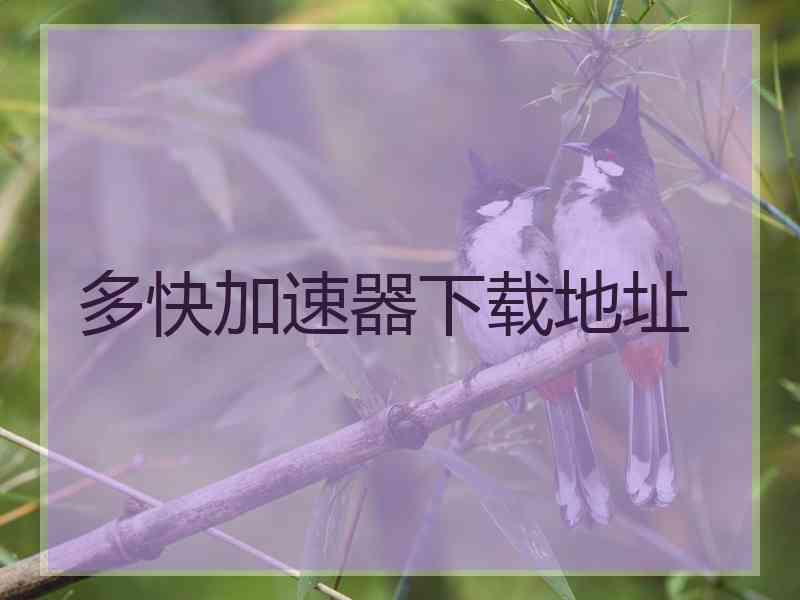 多快加速器下载地址