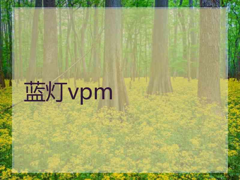 蓝灯vpm