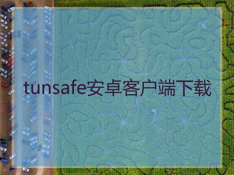 tunsafe安卓客户端下载