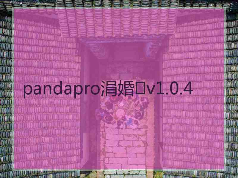 pandapro涓婚v1.0.4