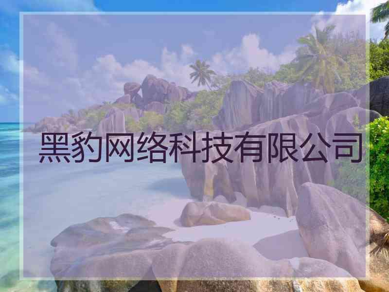 黑豹网络科技有限公司