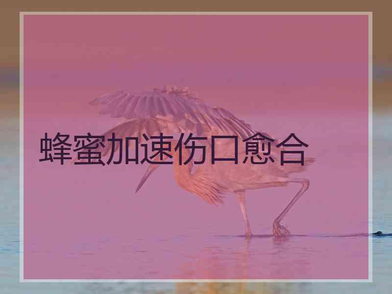 蜂蜜加速伤口愈合