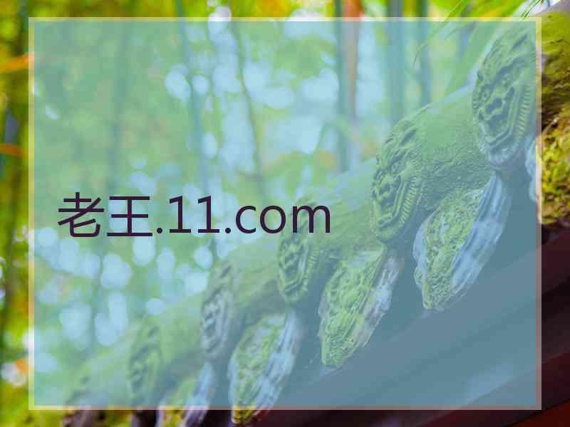 老王.11.com