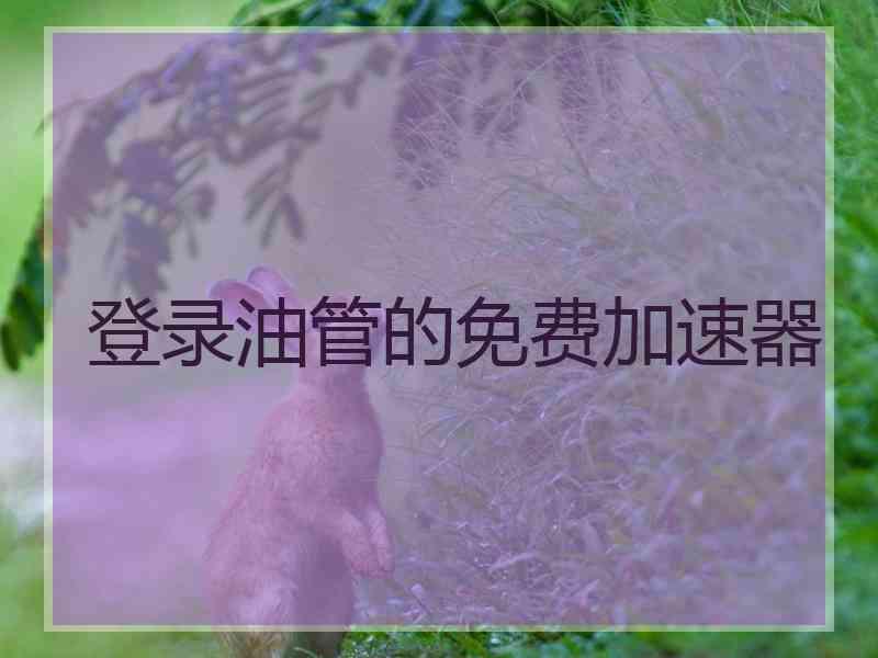 登录油管的免费加速器