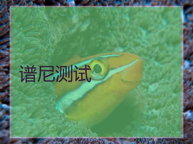 谱尼测试