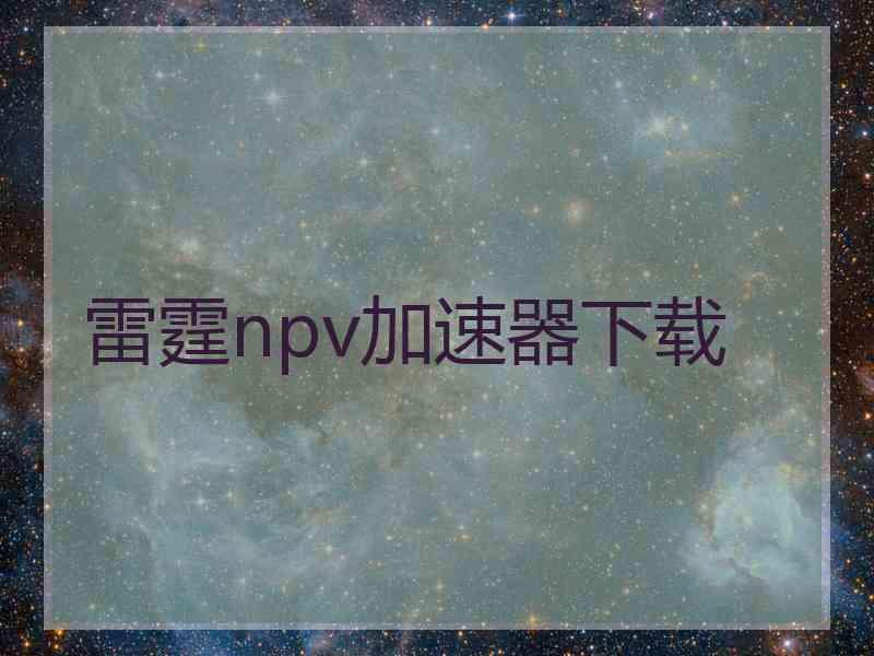 雷霆npv加速器下载