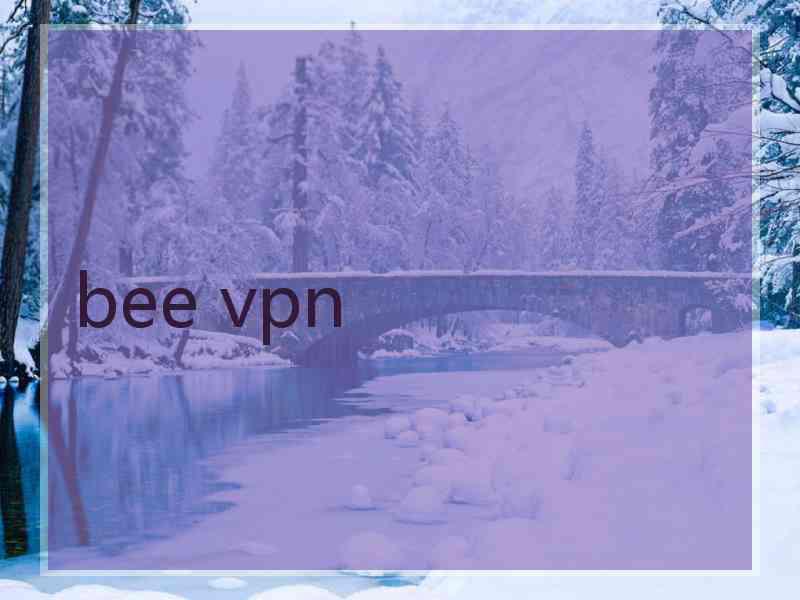 bee vpn